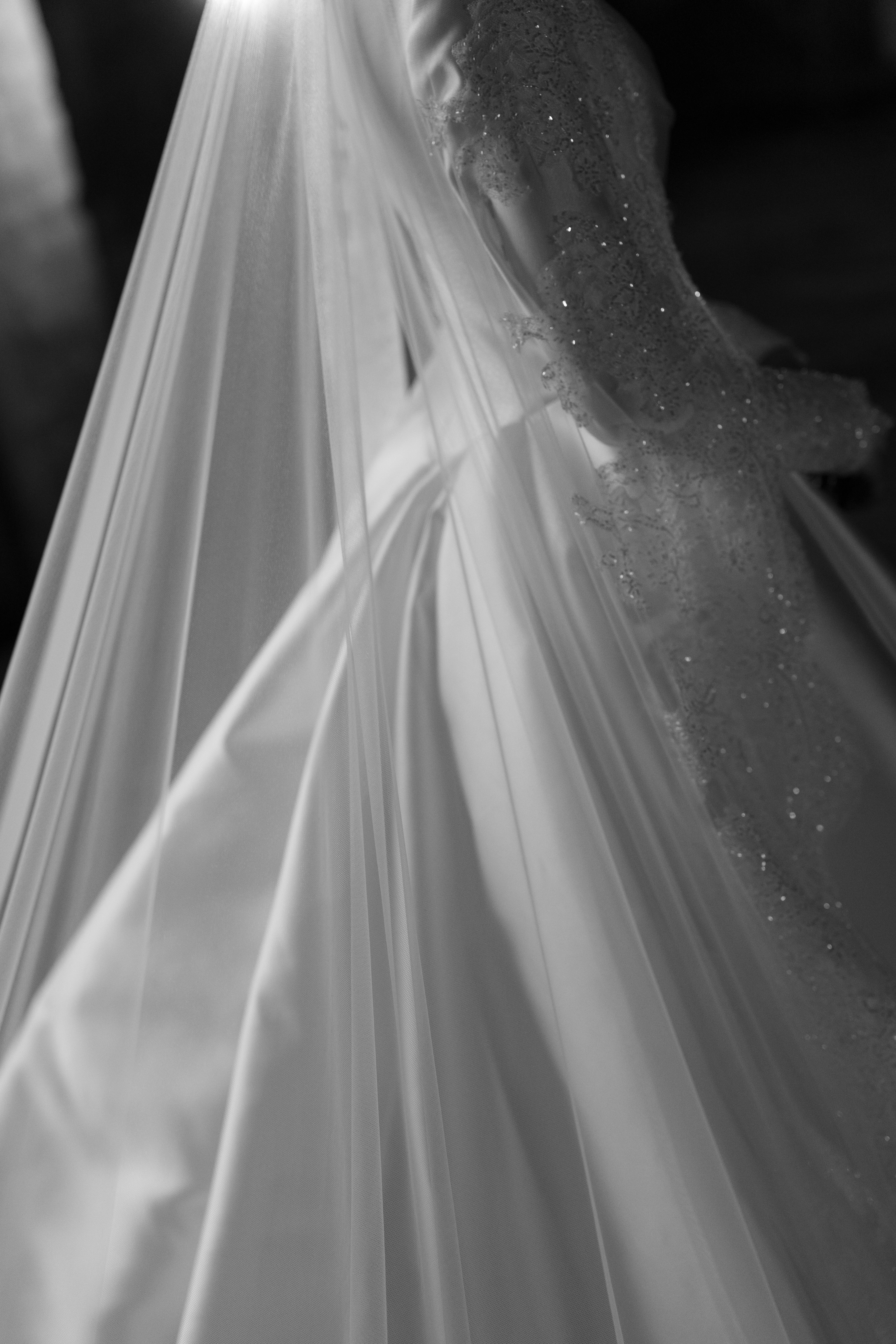 Aaliyah Veil